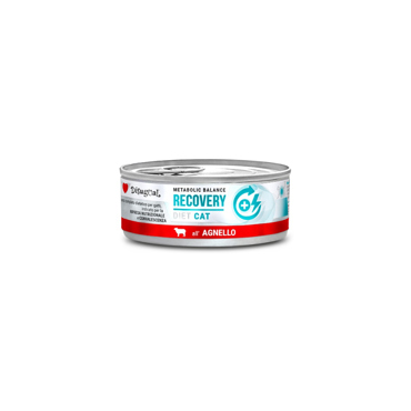Disugual Diet Cat - Recovery Με Αρνί 85gr